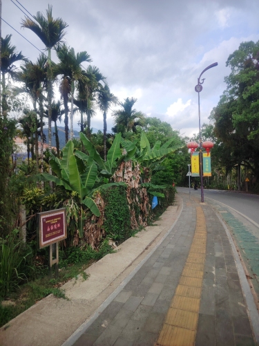 琼海之旅不可错过：加脑苗寨山悦山民宿深度体验指南（2026年）