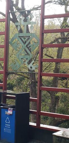 雨林栈道