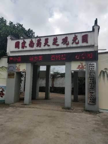琼海国家南药灵芝观光园攻略：2026年小众景点深度游指南
