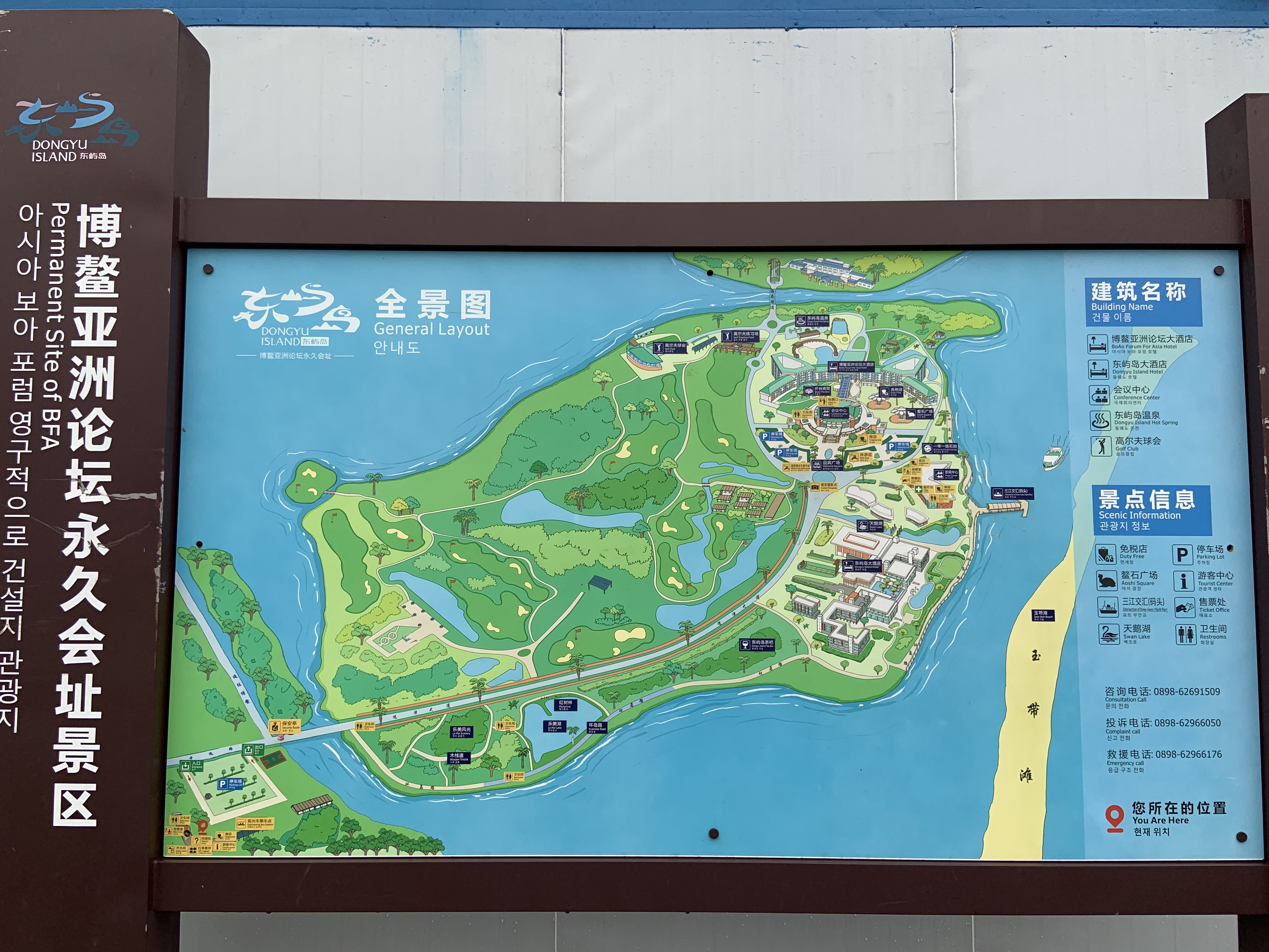 健身草坪