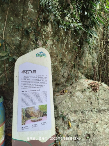 禅石飞燕