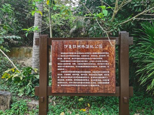 文昌惟尼迩悠然民宿(合景云上店)周边游推荐：这些地方也值得一去（202606190509）