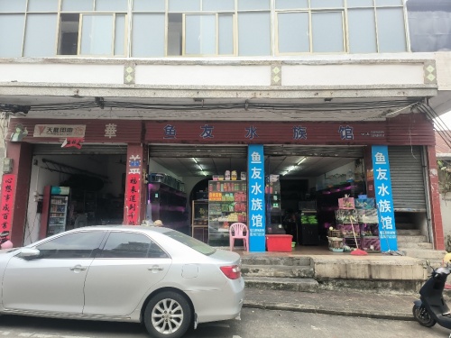 文昌自由行攻略：从文昌如意宾馆出发的经典路线（202606171623）