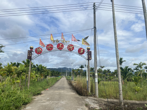 2026文昌聚和宾馆(报罗镇店)游玩全攻略——门票、交通、住宿一文搞定