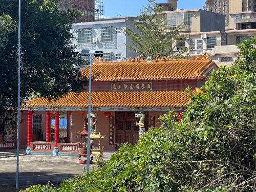 万宁之旅不可错过：GAR'S猫窝民宿深度体验指南