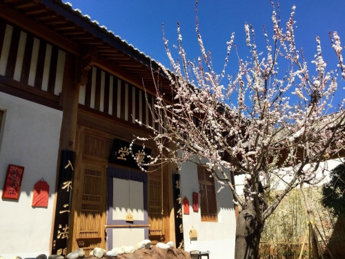 净禅院