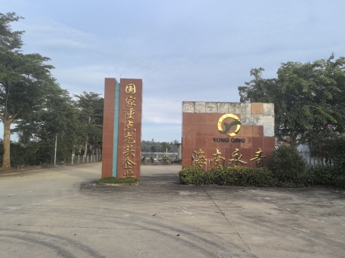 万宁之旅不可错过：兴隆合一行宾馆深度体验指南