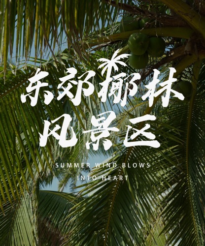 万宁之旅不可错过：丰鑫源商务酒店深度体验指南（202606171136）
