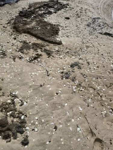 无名海滩