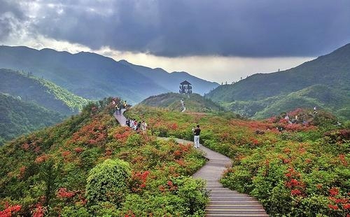 2026年万宁旅游攻略：宜朵智能酒店(万宁高铁站店)全方位解析