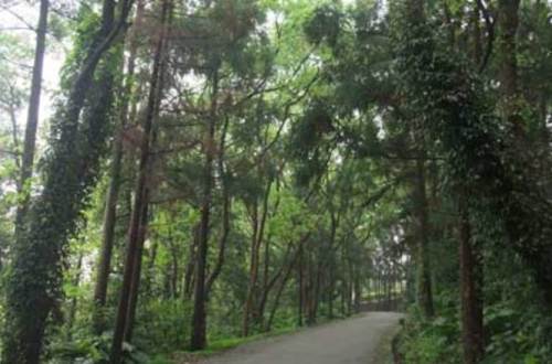 尖岭森林自然保护区到底值不值得去？万宁旅行体验报告