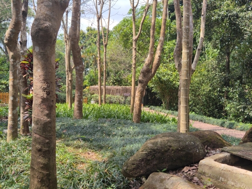 东方旅途海景度假公寓(海东方店)全方位解析：东方旅游深度攻略