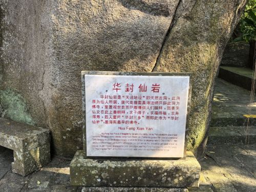 来东方别只知道打卡——东方二里海·花花民宿的宝藏玩法（202606172239）