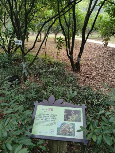 2026年东方旅游攻略：探秘东方嗨酷连锁酒店——东方最值得打卡的目的地