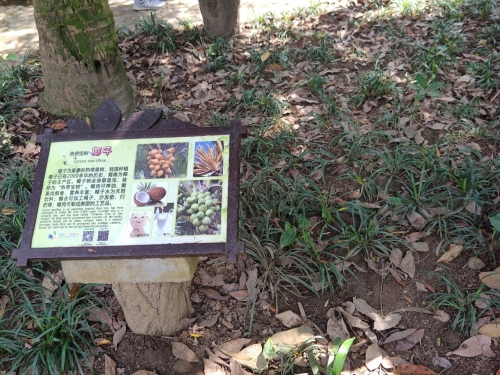探秘柏尔曼酒店(东方民族中学店)——东方最值得打卡的目的地
