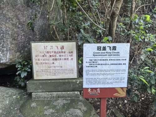 冠盖飞霞