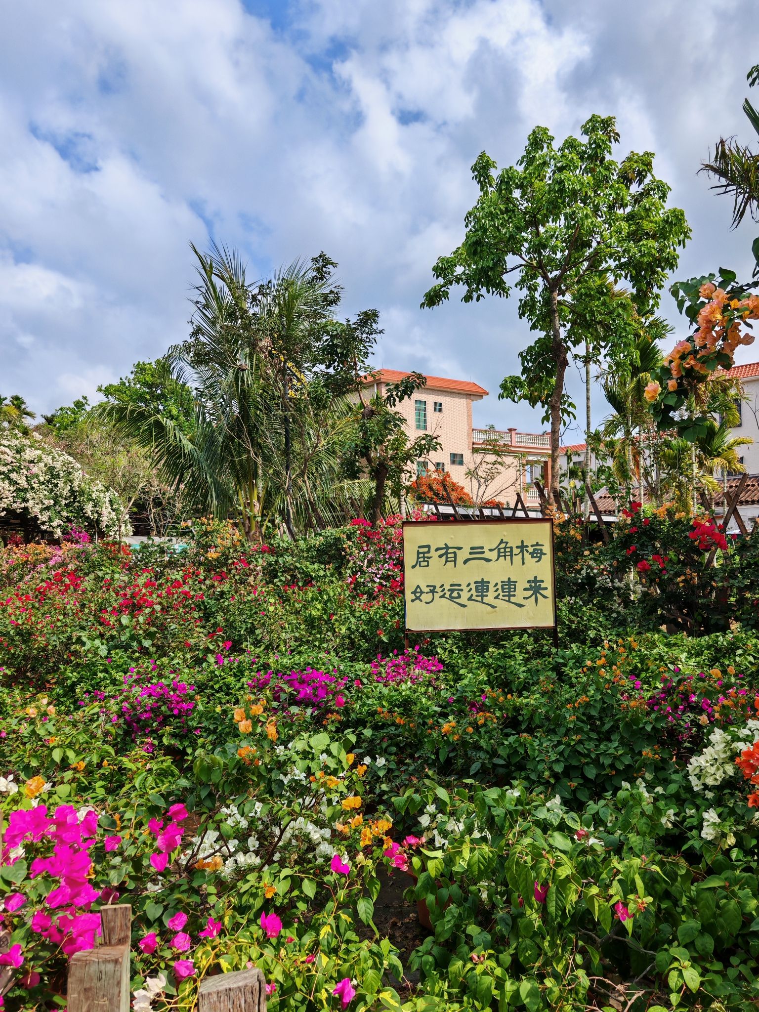 东方之旅不可错过：东方凯辉商务酒店深度体验指南（202606180532）