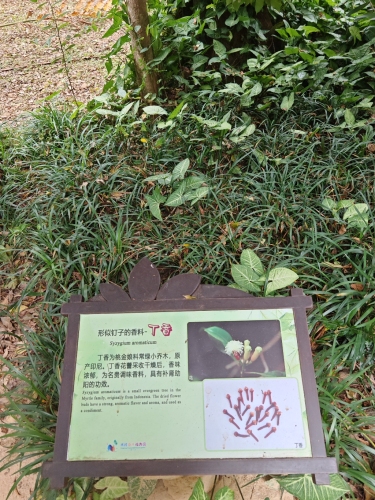 东方林春望海宾馆游玩全攻略——2026年东方旅游必住推荐