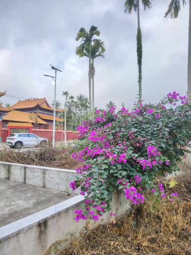 章氏宗祠文化园