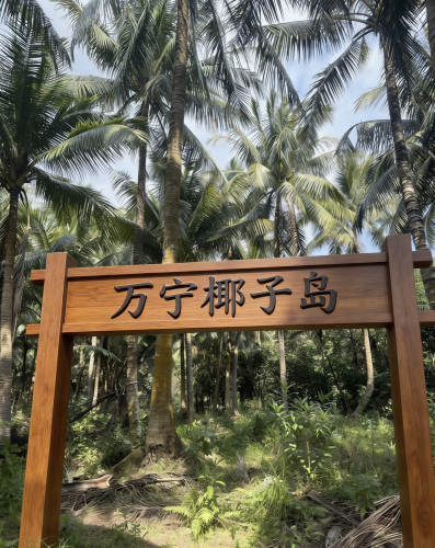 万宁椰子岛