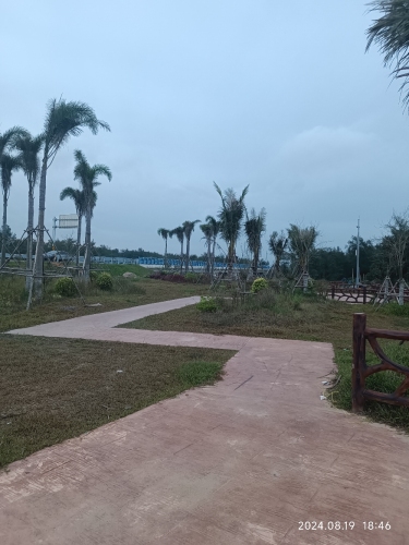 东方之旅不可错过：东方龙凤旅店深度体验指南（202606190445）