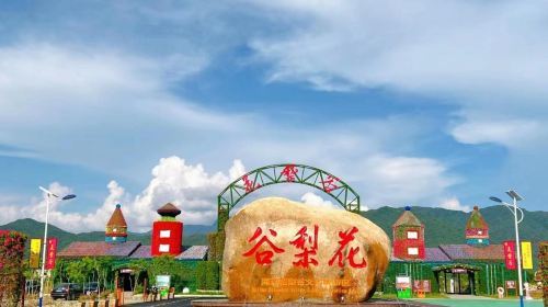 羊驼园