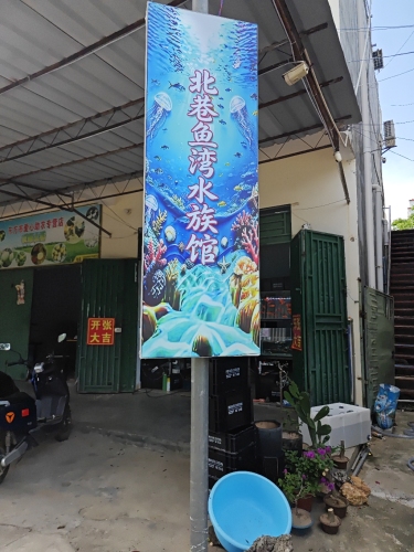 2026定安凤池酒店游玩全攻略——门票、交通、住宿一文搞定