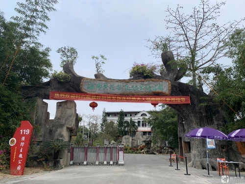 探秘海南黄花梨文化主题公园——东方最值得打卡的目的地（2026年）