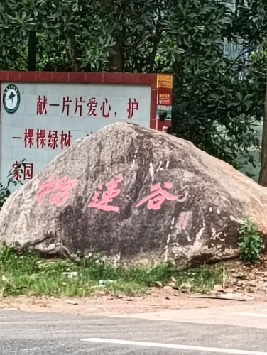 定安县之旅不可错过：包蜜园乡村度假酒店深度体验指南（2026年）