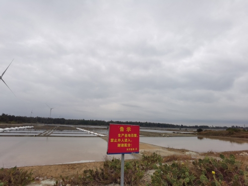 2026年定安县旅游必读：龙禧大酒店周边玩法人气推荐