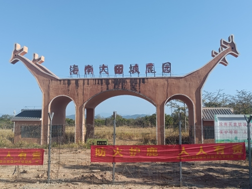 来定安县别只知道打卡——君悦旅租的宝藏玩法