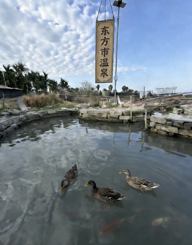 东方市温泉