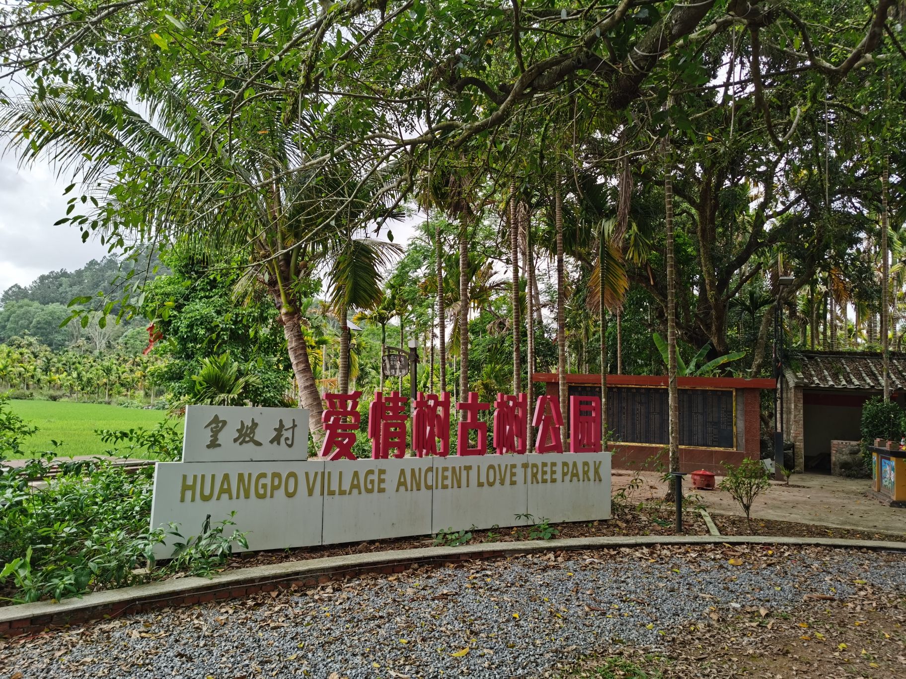 2026年屯昌县旅游攻略：探秘康英大酒店——最值得打卡的住宿目的地