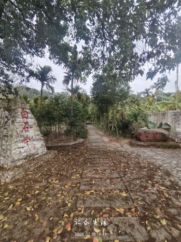 2026年屯昌县之旅不可错过：佳捷精品酒店(屯昌汽车总站店)深度体验指南