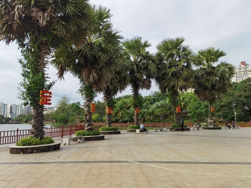 来屯昌县别只知道打卡——屯昌忆家旅租的宝藏玩法（202606181447）