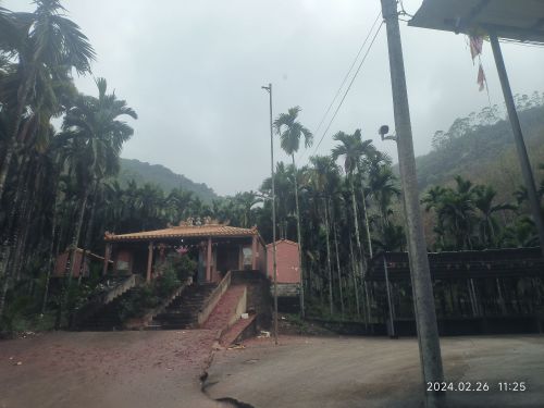 屯昌县39号旅租攻略：2026年探秘最值得打卡的目的地