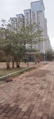 海口自由行攻略：从枫林晚S电影酒店(海口高铁东站凤翔西路店)出发的经典路线
