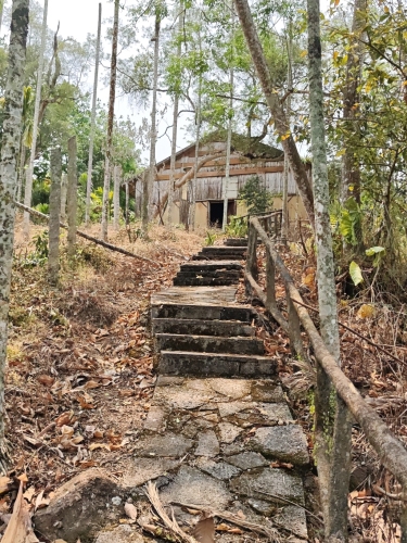 母瑞山红军苏维埃大礼堂旧址(琼苏大礼堂遗址)