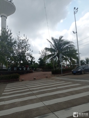 来海口别只知道打卡——枫林晚酒店(海南政法学院店)的宝藏玩法
