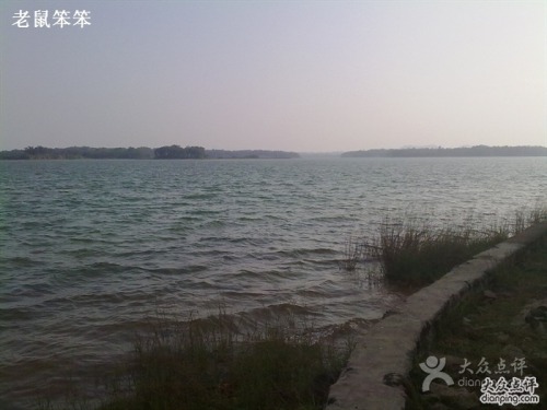 椰子星空野营露营地