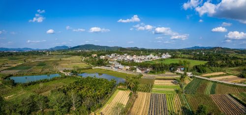 文赞生态湿地公园全方位解析：2026年屯昌县旅游深度攻略