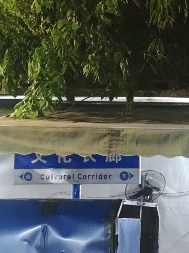 海口乐之睦·三只猫青旅民宿(友谊阳光城店)值不值得去？2026海口旅行体验报告