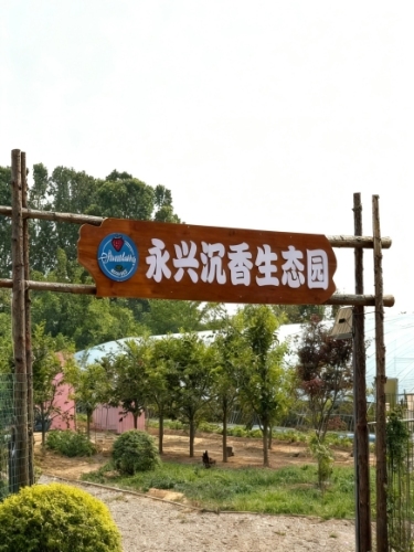 永兴沉香生态园