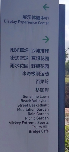 雨水花园