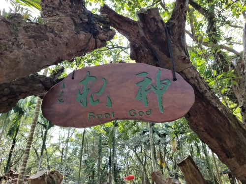 根神