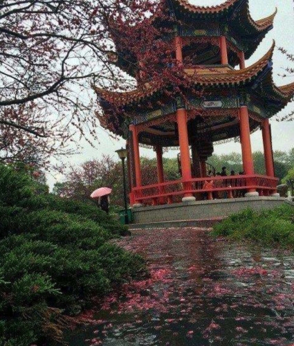 海口攻略：怡景园花园酒店(红城湖路店)游玩全攻略——门票、交通、住宿一文搞定
