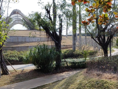 南药植物园