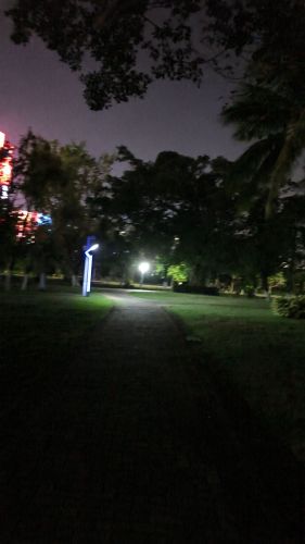 森林迷径