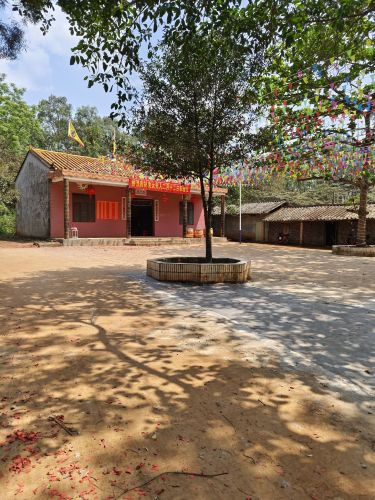 敦茶金晖民宿到底值不值得去？2026年澄迈县旅行体验报告
