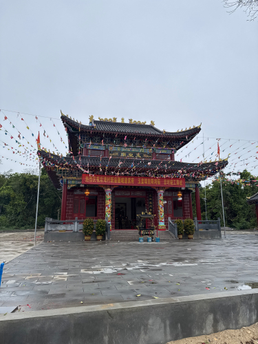 敦灵校友林